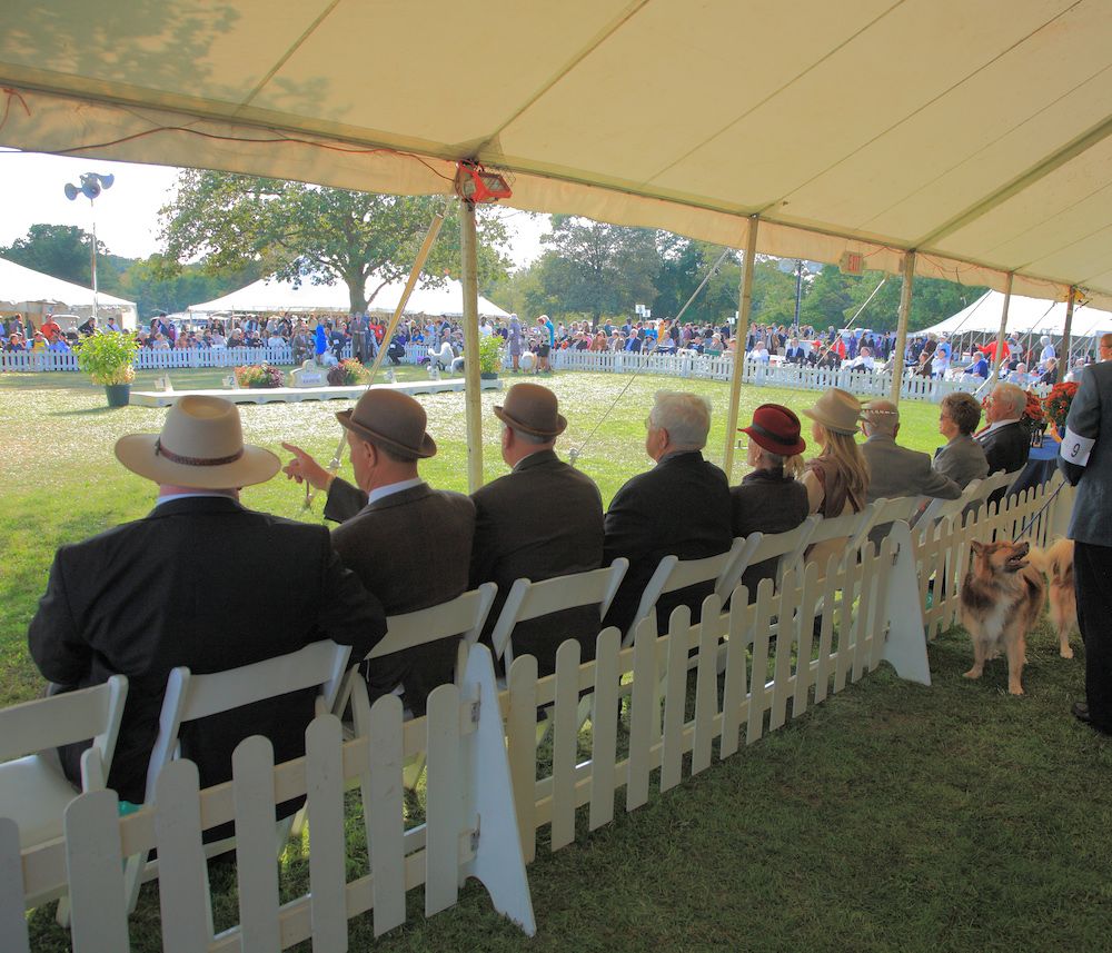 The Gossip Column: June 9, 2023